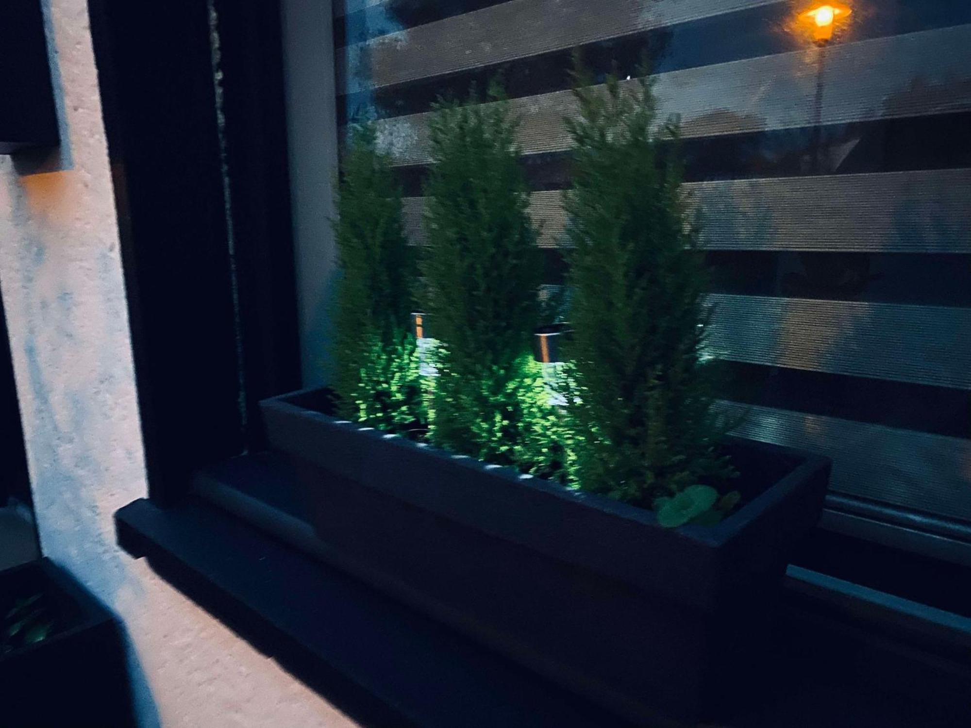 Apartment Premium, A 50m Du D'ardres Avec Terrasse